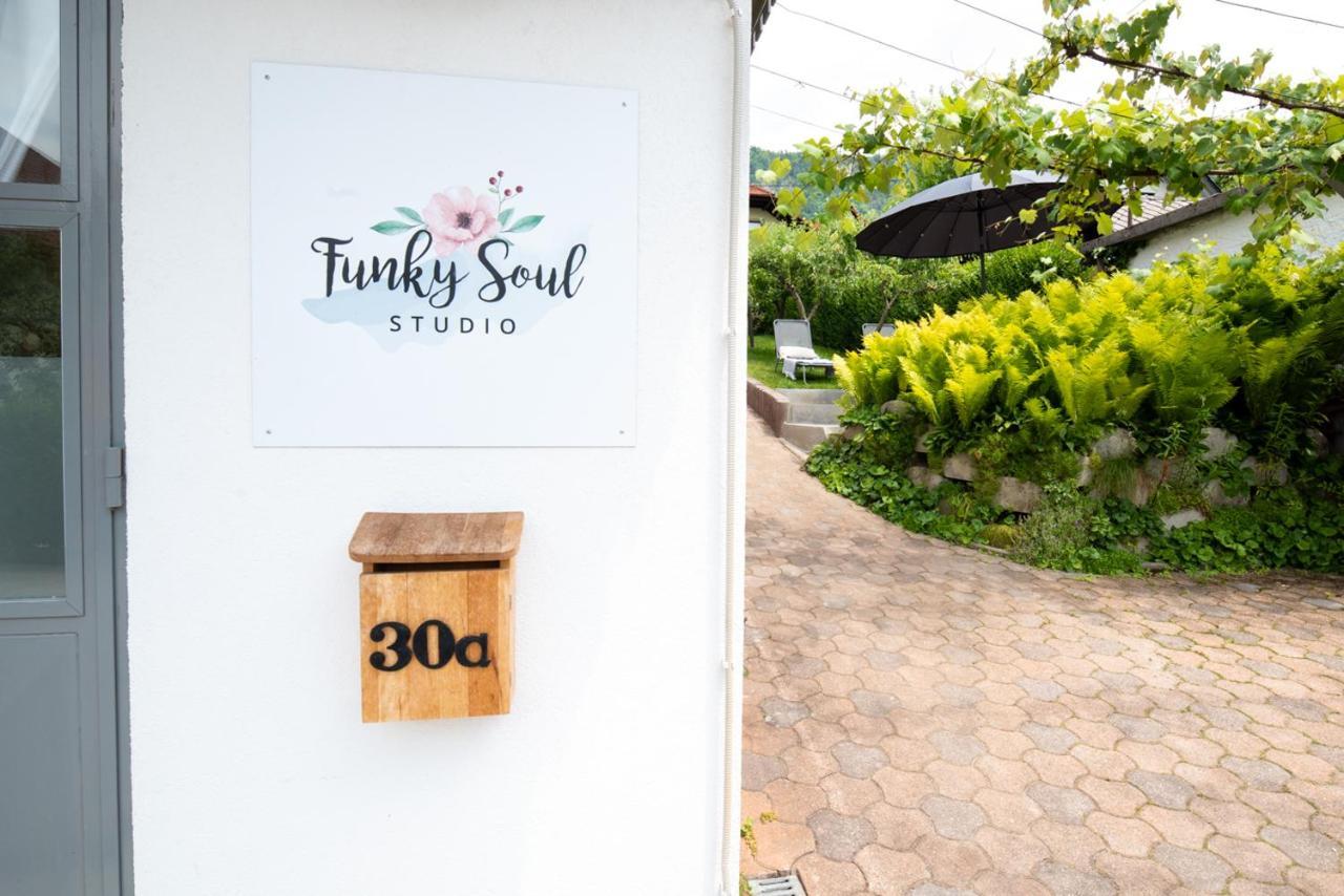 Funky Soul Studio Zirovnica Exterior foto